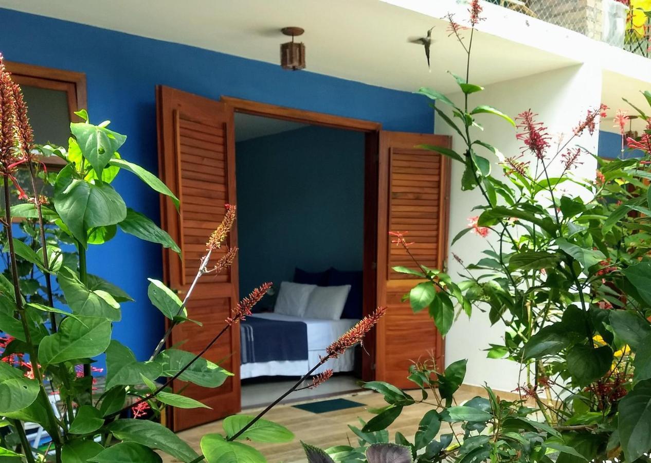 Pousada Casa Viva A Vida 伦索伊斯 外观 照片